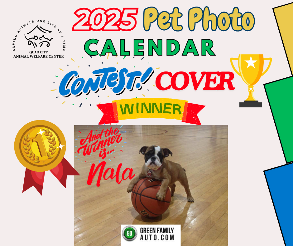 Pet photo calendar contest winner facebook post landscape